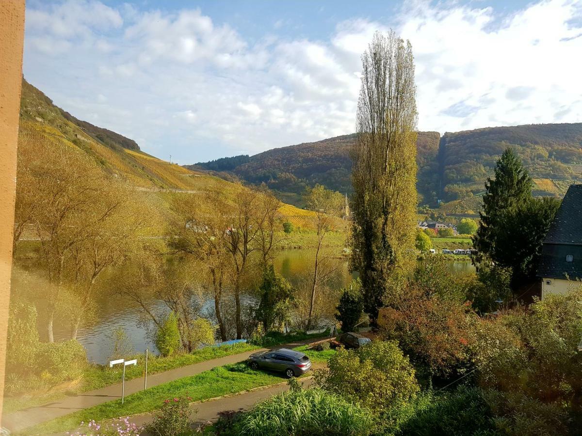 Appartamento Haus Lowe Senheim Esterno foto